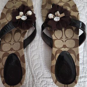 COACH - 7B (Cream & Brown)